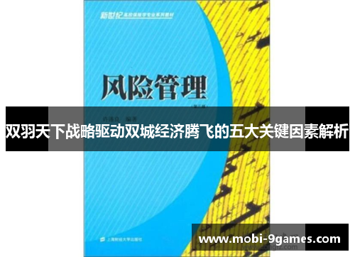 双羽天下战略驱动双城经济腾飞的五大关键因素解析