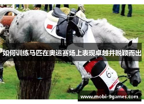 如何训练马匹在奥运赛场上表现卓越并脱颖而出