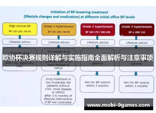 欧协杯决赛规则详解与实施指南全面解析与注意事项 欧协杯决赛规则详解与实施指南全面解析与注意事项