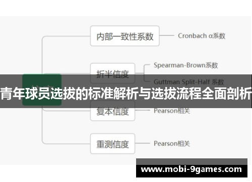青年球员选拔的标准解析与选拔流程全面剖析